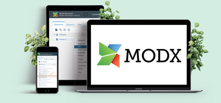 Доработка сайтов на платформе MODx