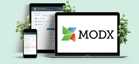 Доработка сайтов на платформе MODx